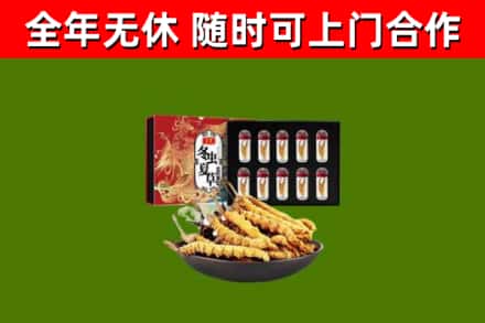 堆龙德庆回收冬虫夏草价格